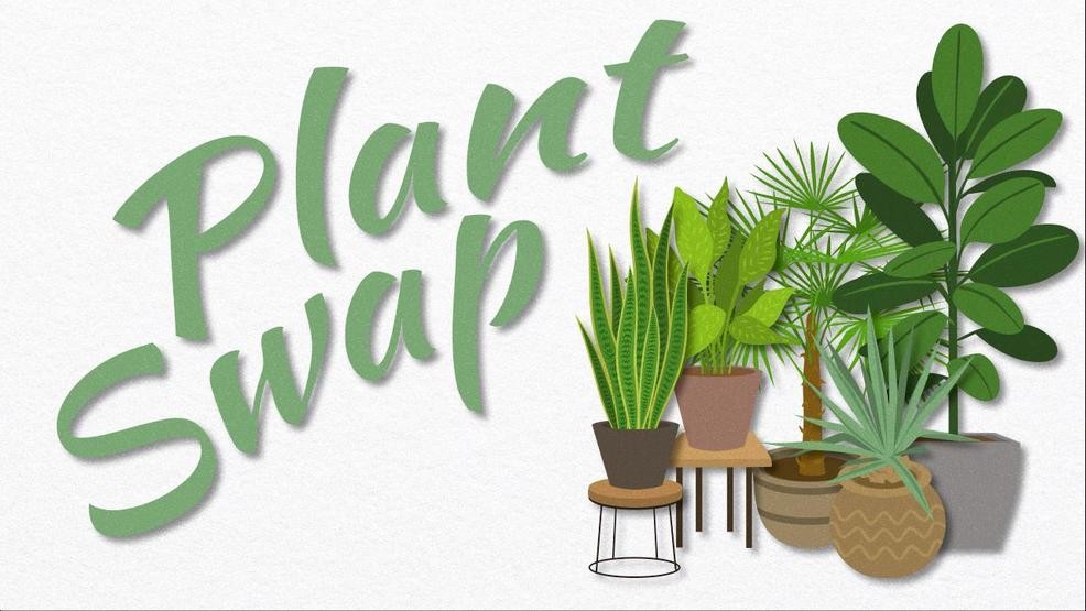 Plant Swap